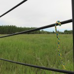 my daughter left colored braids to mark the trail :-)